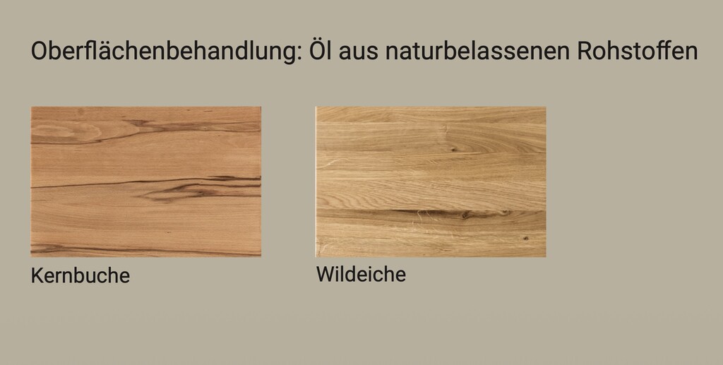 TPT Unterschrank 1-türig für Massivholz Küche Bild 3