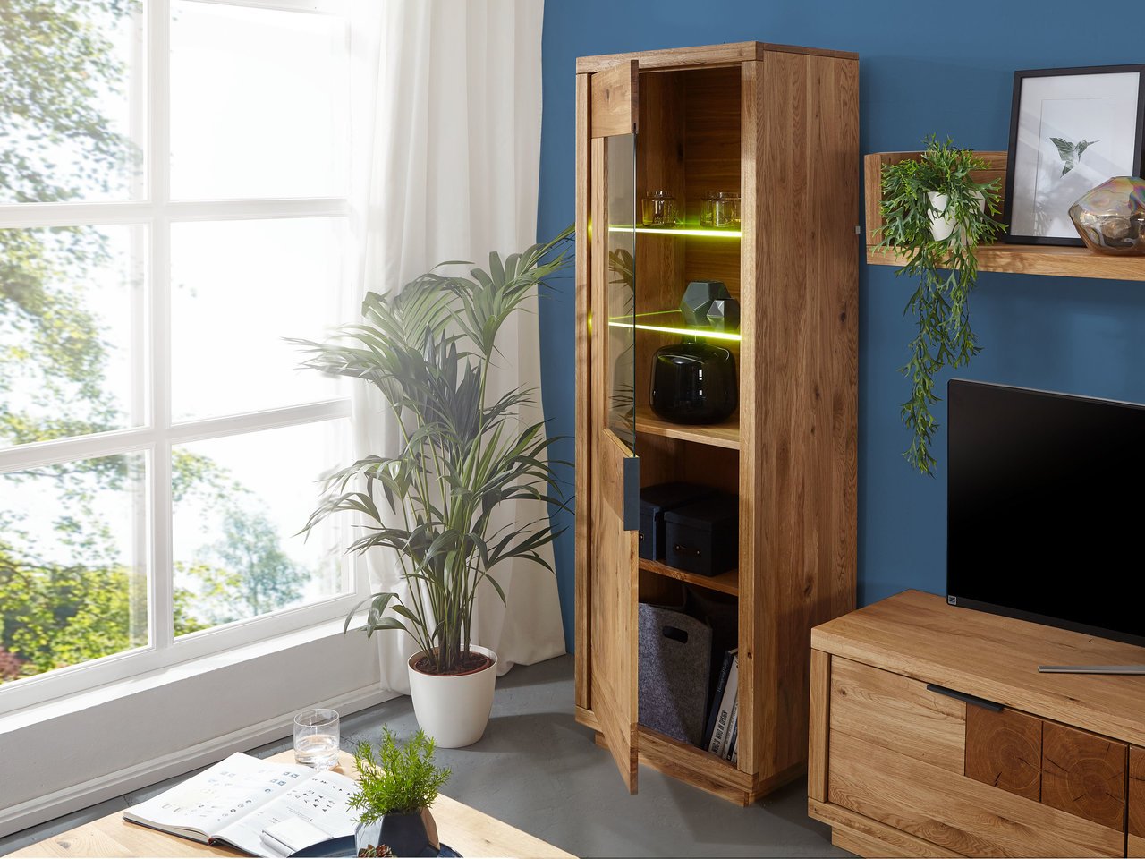 Vitrine I-R Hulsig Wildeiche Bild 2