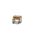 Couchtisch Set Iron 50 x 30 x 45 cm
